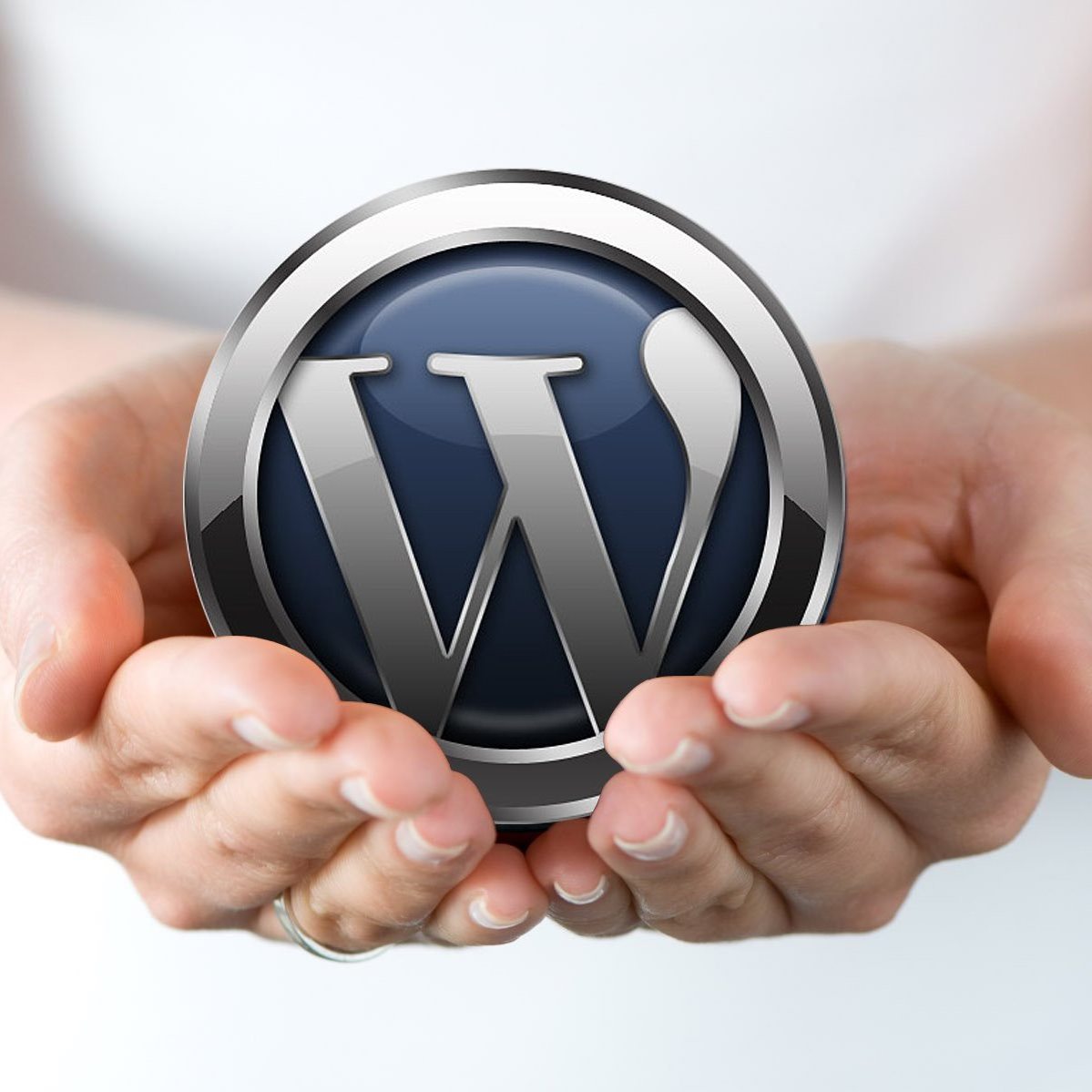 Websites Designed in WordPress